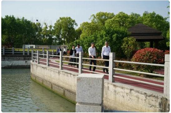 防汛備汛工作 | 青浦區(qū)領導帶隊開展防汛檢查