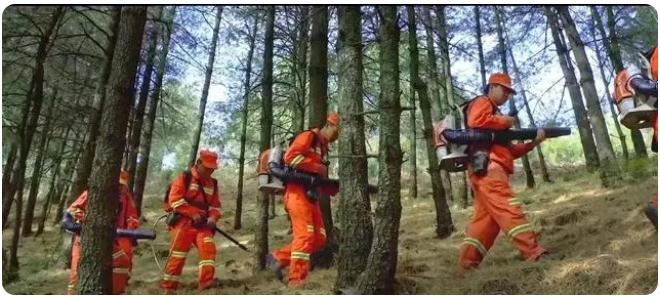 全市森林草原防火期結(jié)束，嵩明持續(xù)筑牢森林&ldquo;防火墻&rdquo;